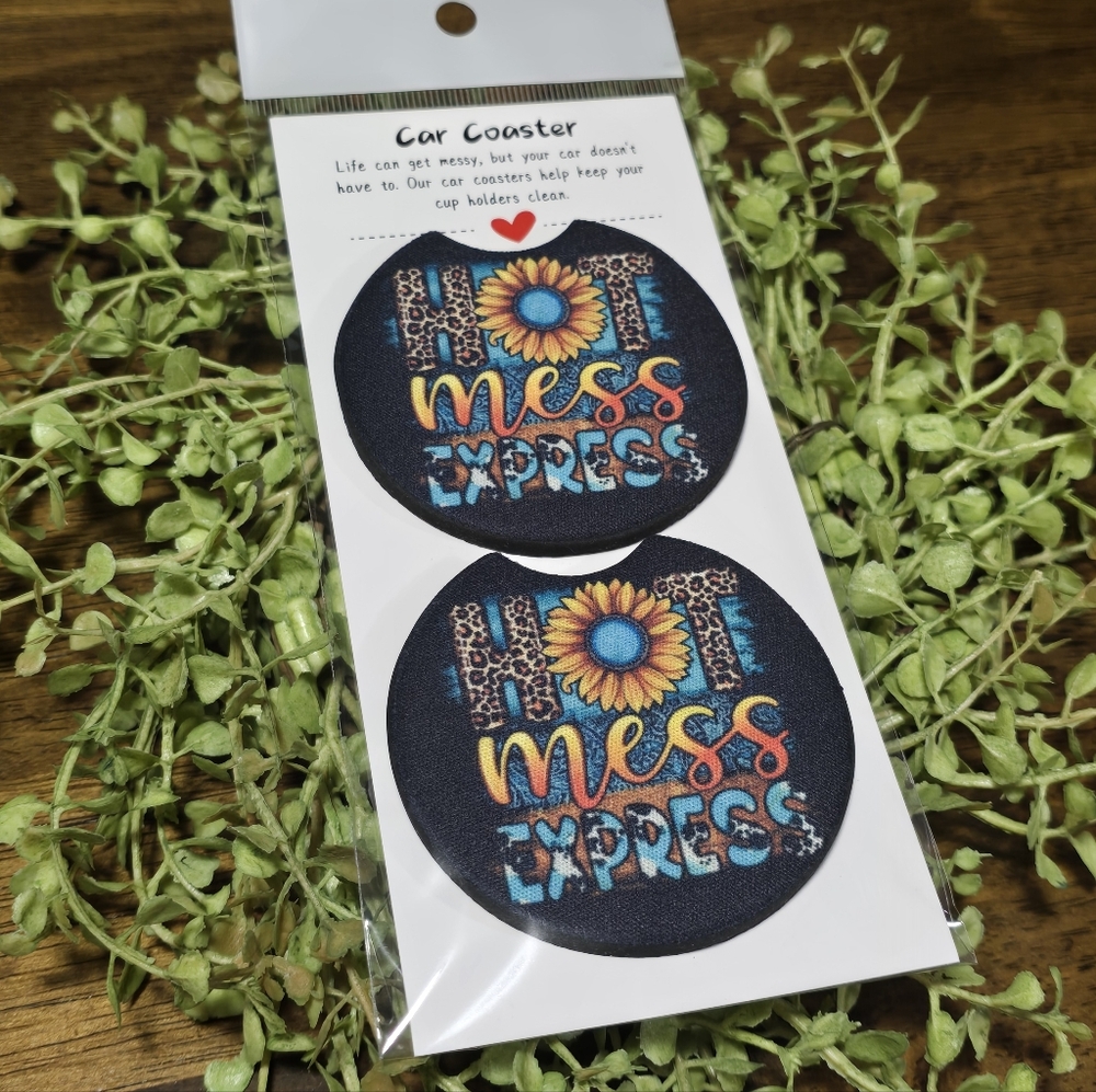 Hot Mess Express Car Coasters - Multicolor